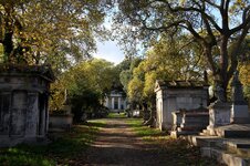 IMG_1942.JPG IMG_1942.JPG