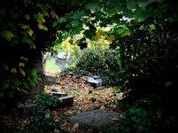 IMG_1895.JPG IMG_1895.JPG