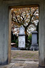 IMG_1905.JPG IMG_1905.JPG