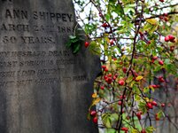 IMG_1897.JPG IMG_1897.JPG