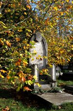 IMG_1931.JPG IMG_1931.JPG