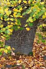 IMG_1890.JPG IMG_1890.JPG