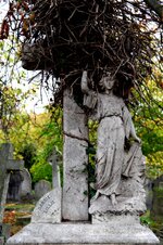 IMG_1883.JPG IMG_1883.JPG