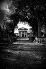 IMG_1928.JPG IMG_1928.JPG