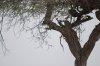 DSC_0326.jpg DSC_0326.jpg