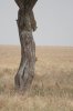 DSC_0330.jpg DSC_0330.jpg