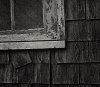 window shingles B&W.jpg