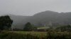 DSC_0680.jpg