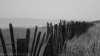 DSC_0886.jpg