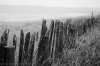 DSC_0882.jpg