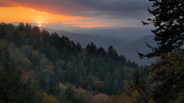 IMG_6462-social.jpg IMG_6462-social.jpg