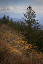 IMG_6518-social.jpg IMG_6518-social.jpg