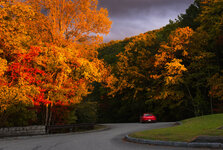 IMG_6649-social.jpg IMG_6649-social.jpg