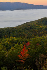 IMG_6675-social.jpg IMG_6675-social.jpg