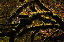 IMG_6911-social.jpg IMG_6911-social.jpg