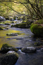 IMG_6944-social.jpg IMG_6944-social.jpg