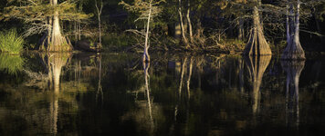 IMG_7001-social.jpg IMG_7001-social.jpg