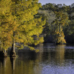 IMG_7007-social.jpg IMG_7007-social.jpg