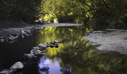 IMG_7009-FG-social.jpg IMG_7009-FG-social.jpg