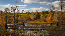 IMG_7026-social.jpg IMG_7026-social.jpg