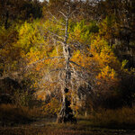 IMG_7028-social.jpg IMG_7028-social.jpg