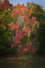 IMG_7051-social.jpg IMG_7051-social.jpg