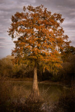 IMG_7075-social.jpg IMG_7075-social.jpg