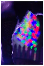 Desmond Blackpool-1.jpeg Desmond Blackpool-1.jpeg