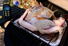 IMG_1654-A.jpg IMG_1654-A.jpg