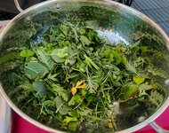 IMG_4284-A.jpg IMG_4284-A.jpg