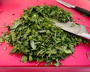 IMG_4288-A.jpg IMG_4288-A.jpg