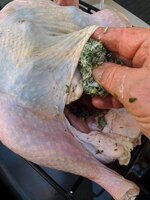 IMG_4298-A.jpg IMG_4298-A.jpg