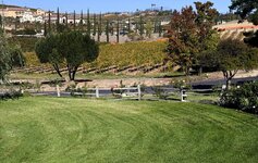 IMG_2245-A.jpg IMG_2245-A.jpg