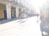 om-1 mark ii-C260901.resized.jpg