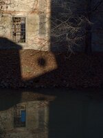 om-1 mark ii-C260717.resized.jpg