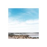 Lincolnshire Coastal Salt Marsh.jpg