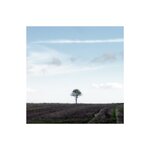 Strength in Isolation.jpg