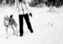 om-1 mark ii-1051227.resized.jpg