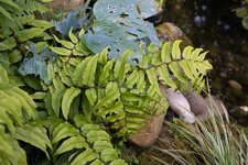 _P4A0394 Photoshop.jpg