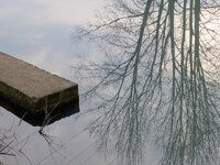 om-1 mark ii-1152187.resized.jpg