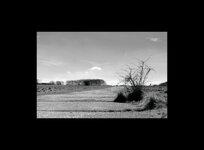 Concrete Taxiway.jpg