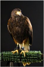 6U1A2761.jpg 6U1A2761.jpg