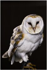 6U1A2802.jpg 6U1A2802.jpg