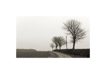 The Edge of the Old Airfield.jpg