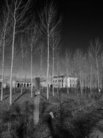 om-1 mark ii-2176739_01.resized.jpg om-1 mark ii-2176739_01.resized.jpg