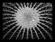 om-1 mark ii-2257360.resized.jpg