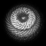 om-1 mark ii-2257373.resized.jpg