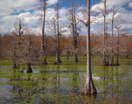 IMG_7144-IMG_7150-social.jpg IMG_7144-IMG_7150-social.jpg