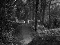 om-1 mark ii-3027791.resized.jpg