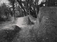 om-1 mark ii-3027830.resized.jpg